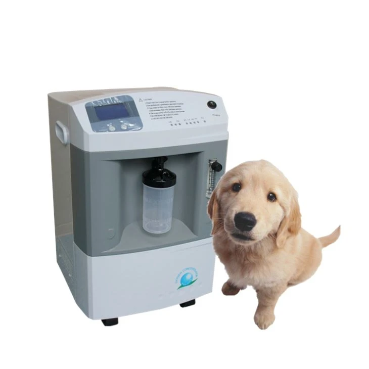Oxygen Concentrator For Pet Use